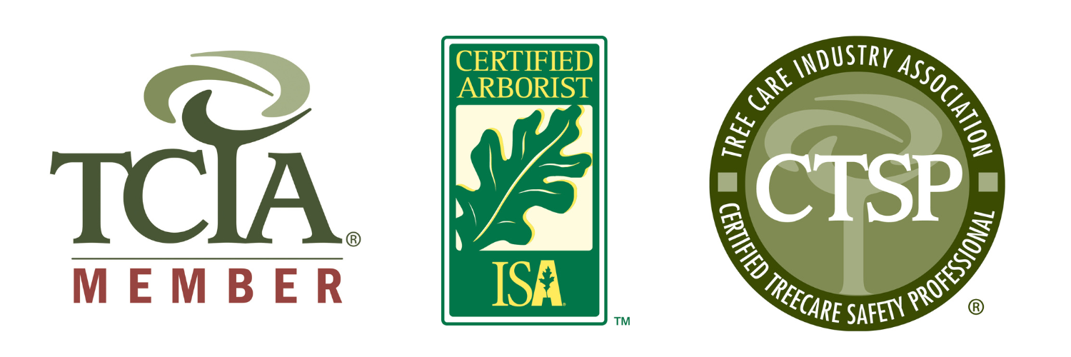 Ashburn Tree memberships and certifications